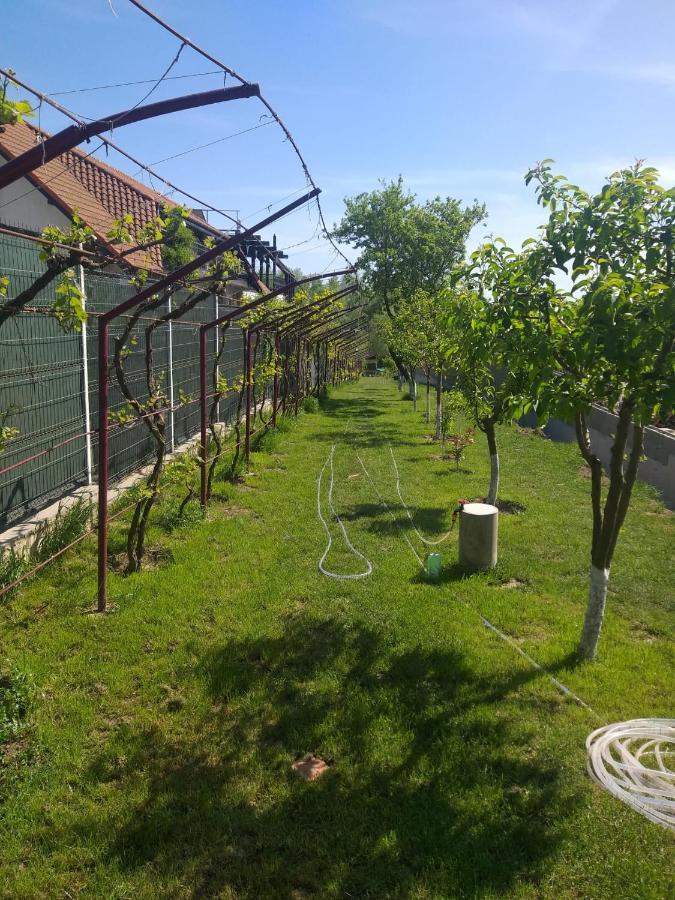 Cabanele Deltei Dunavăţu de Jos Kültér fotó