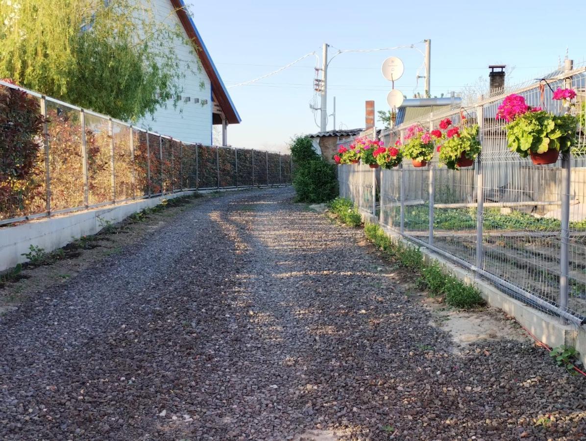 Cabanele Deltei Dunavăţu de Jos Kültér fotó