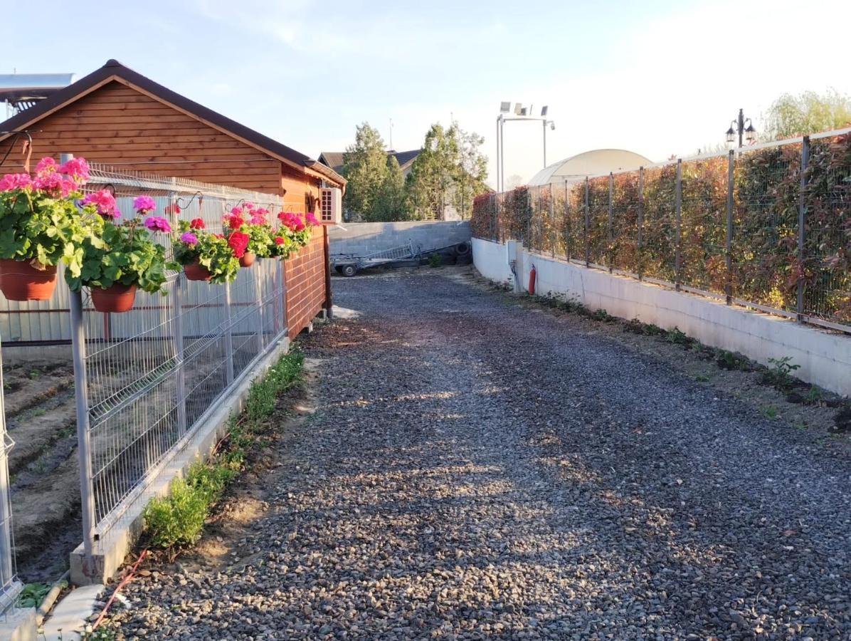 Cabanele Deltei Dunavăţu de Jos Kültér fotó