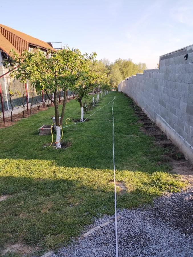 Cabanele Deltei Dunavăţu de Jos Kültér fotó